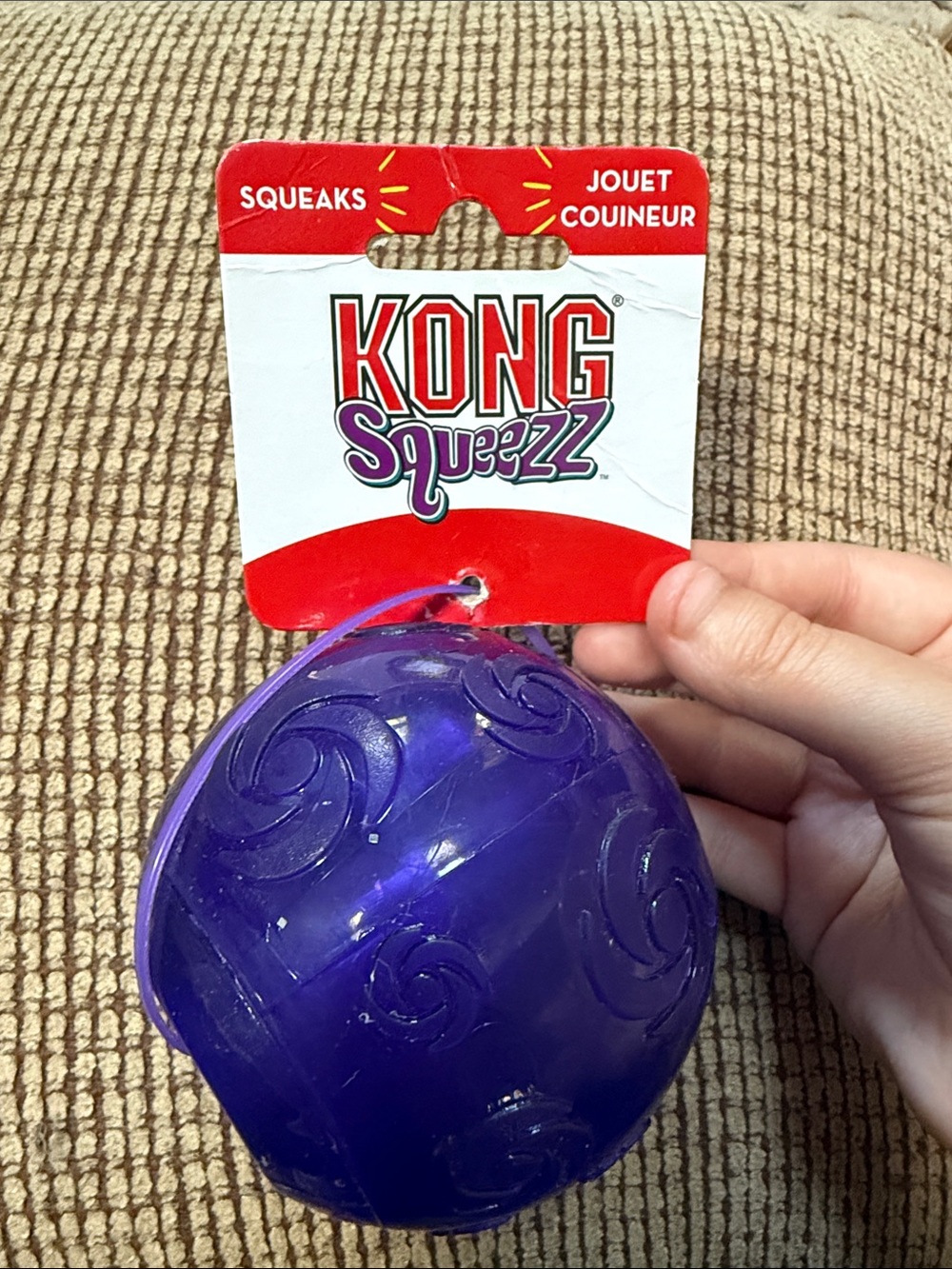 Kong squeeze ball